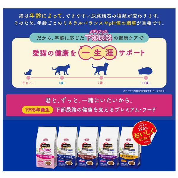 ディファス　下部尿路　1歳　猫 メディファス 1歳から 下部尿路 チキン味 国産 150g 1個 ペット