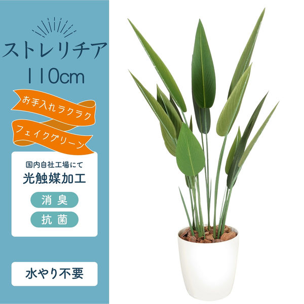 CT触媒インテリアグリーン ストレリチア 高さ115cm 000000000069-40.jpg?t=