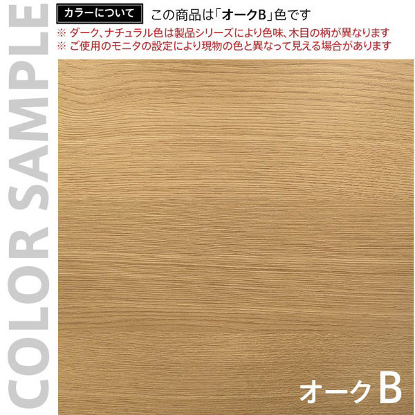 軒先渡し】アール・エフ・ヤマカワ テンポ ハイカウンター 棚板