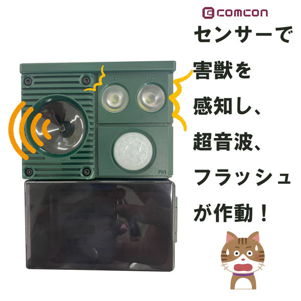 楽天市場】【大型ネコ・小型犬】ネコ用 犬用 ペットドア G-SDD