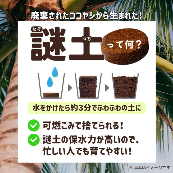 ロカロヌードル 【2箱セット16食】 LOCALO Noodle 未使用未開封 期限