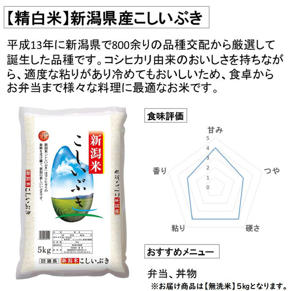 k*0様 お米。 新潟県産 こしいぶき 5kg 【無洗米】 令和6年産 米 お米 - アスクル