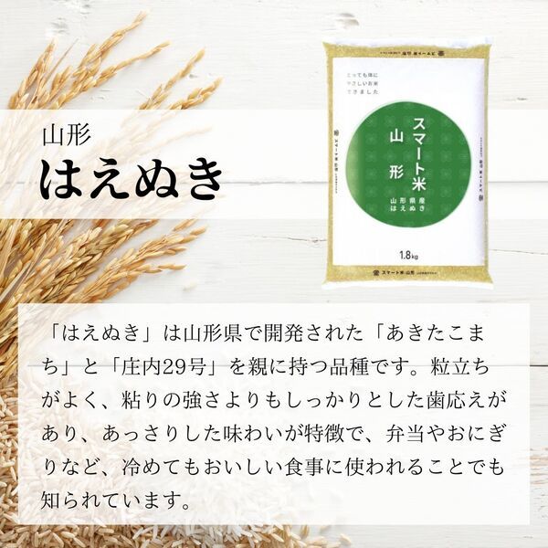 山形県産 はえぬき 10kg(5kg×2袋) 無洗米玄米 令和6年産