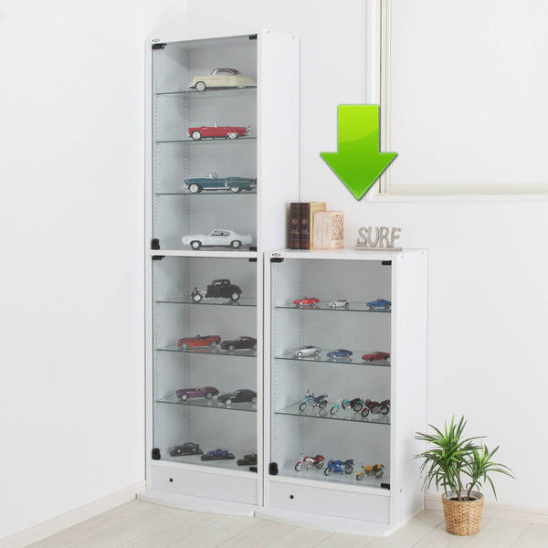 充英アート コレクションラック 幅550mm 汎用 奥行290mm ロータイプ