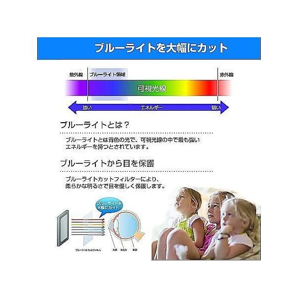 cblm-tv-k0001624181（直送品）