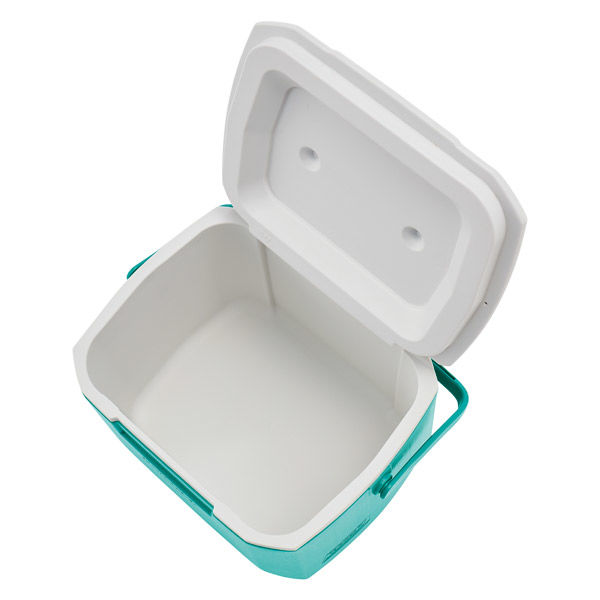 Coleman(コールマン) エクスカーションクーラー16QT(ミント) 2238190 1