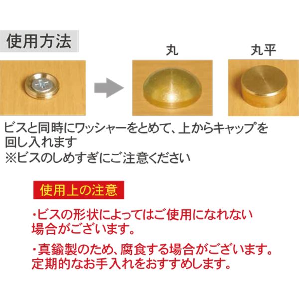 ダンドリビス DANDORI VIS 太鼓鋲風ネジキャップ 真鍮メッキ 丸 10号箱