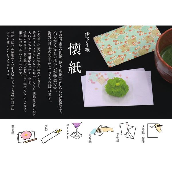 3519 kimono美金霞 ケース付 1セット カミイソ産商（直送品