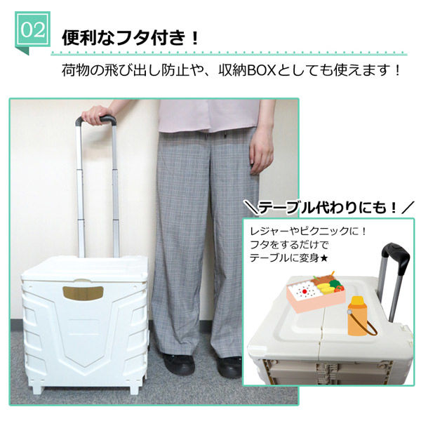 センター商事 キャリーコンテナM 2輪タイプ フタ付き K-246 WH K