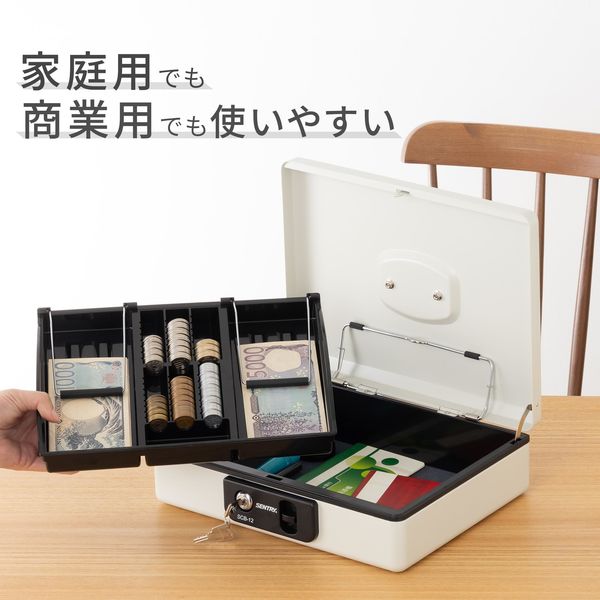 マスターロック・セントリー日本 SCBシリーズ 手提げ金庫 キャッシュ
