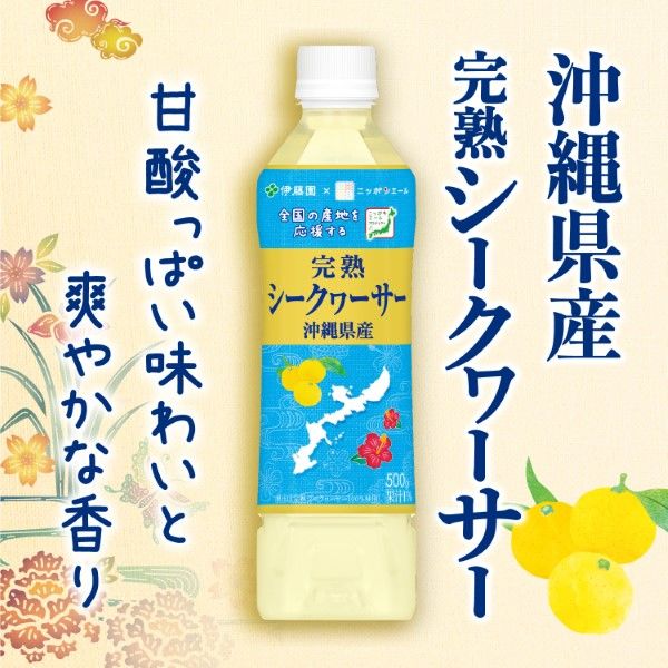 伊藤園 完熟 シークヮーサー 沖縄県産 500g ニッポンエール 1箱（24本入）