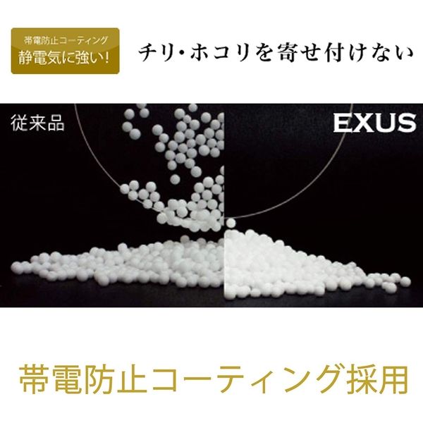 EXUS 77mm レンズガード - レンズ(ズーム)