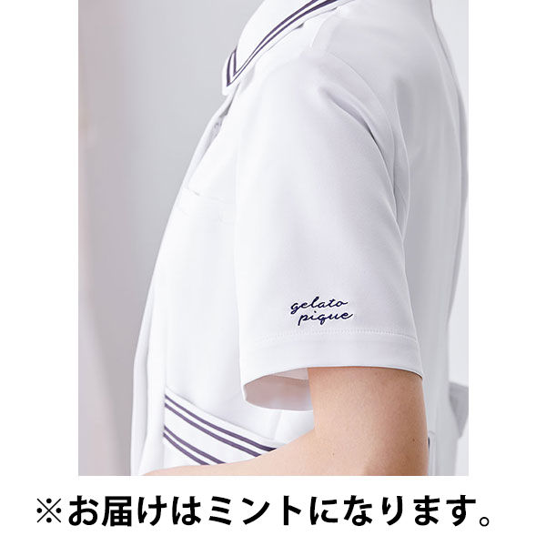 ジェラート ピケ&クラシコ 白衣 （レディス） ラインカラートップス