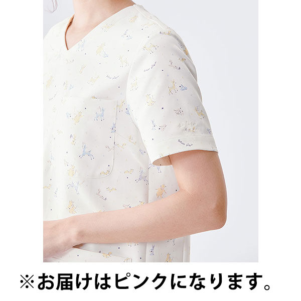 クラシコ アニマルスクラブ 607 1枚 スクラブ（直送品） - アスクル