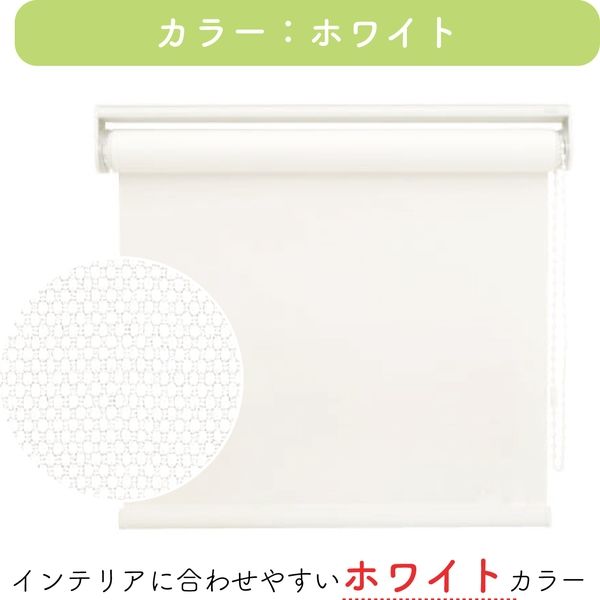 幅1cm単位】プロ仕様ロールスクリーン幅40cm×高81～120cm＜チェーン式
