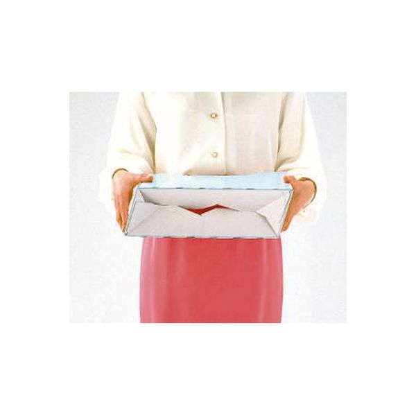 ライオン事務器 ボックスファイル No.1100E ピンク 11790 1 ライオン事務器 ボックスファイル No.1100E ピンク 11790 1