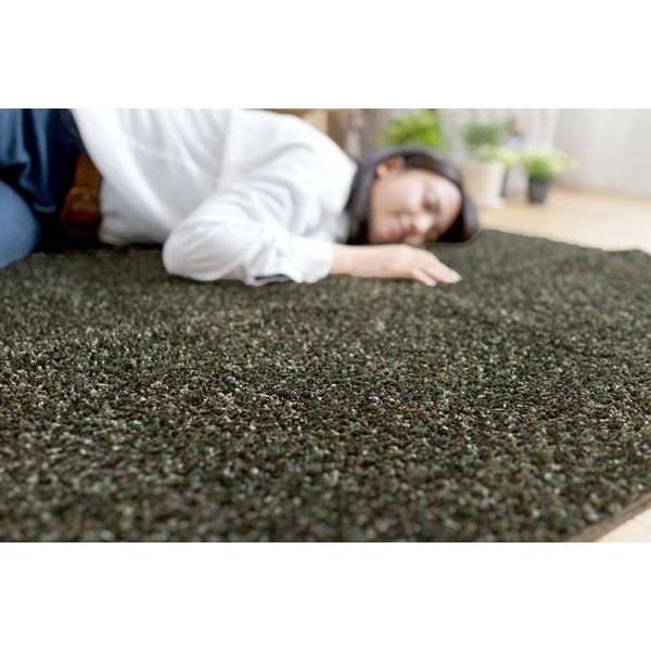 スミノエ FIT SIZE RUG ミランジュ ラグ 防ダニ 1850×1850mm ブラウン 4549781207094 1枚（直送品）