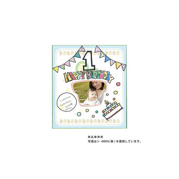 ポケット付き色紙 リンゴ シ-0002 10枚 エヒメ紙工（直送品