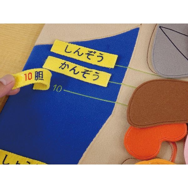 からだの構造と機能 1 2 からだの構造と機能 - 西村書店