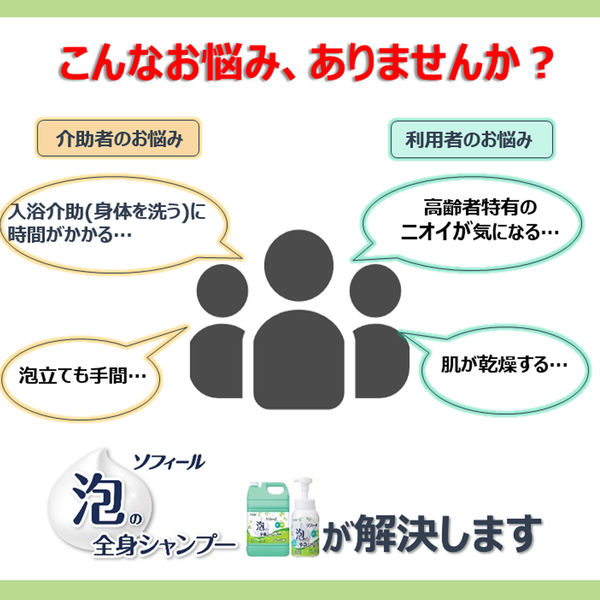 ケース販売）ソフィール 泡の全身シャンプー／500mL×12本（ライオン