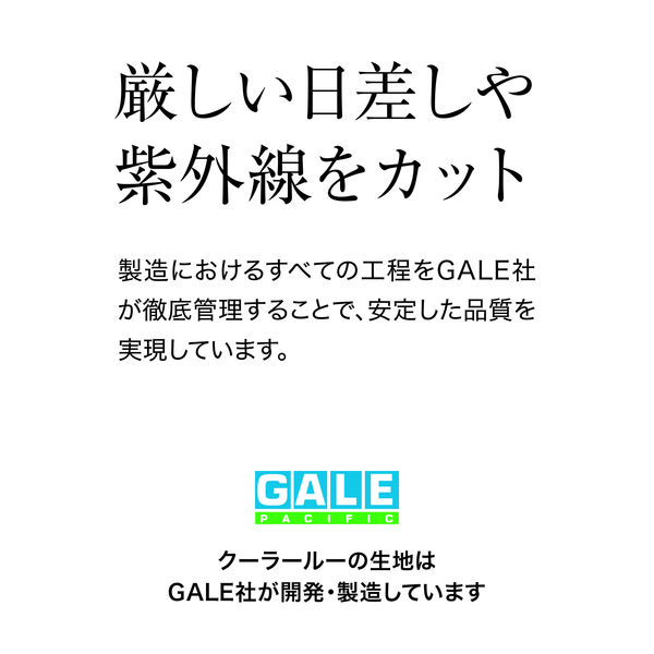 タカショー クールシェード プライム 2000×4000mm チャコールグレー GCS-W40C5 1枚（直送品） - アスクル