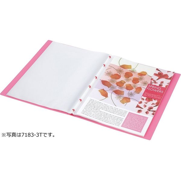 キングジム クリアーファイル ヒクタス±(透明)スティック・タイプ 40P