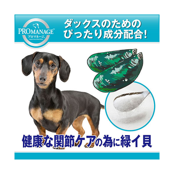 プロマネージ ミニチュアダックスフンド専用 成犬用 2250001760993