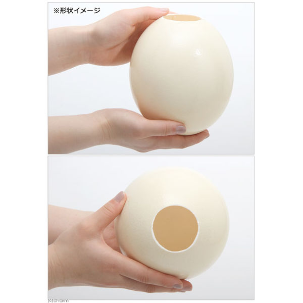 リーフ ダチョウのたまごハウス 1個 小動物のおうち 希少