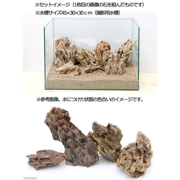 リーフ 形状お任せ 陽火石 5kg 2250002150069 1個(直送品 リーフ 形状お任せ 陽火石 5kg 2250002150069 1個(直送品