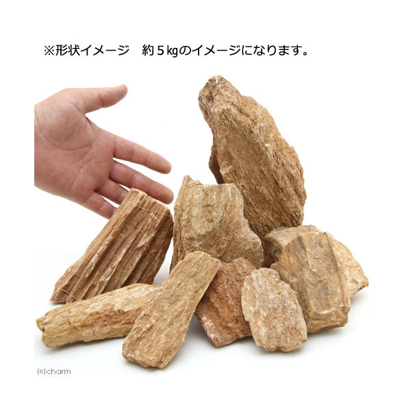 リーフ 形状お任せ 木紋岩 サイズミックス 2250002165148 1個