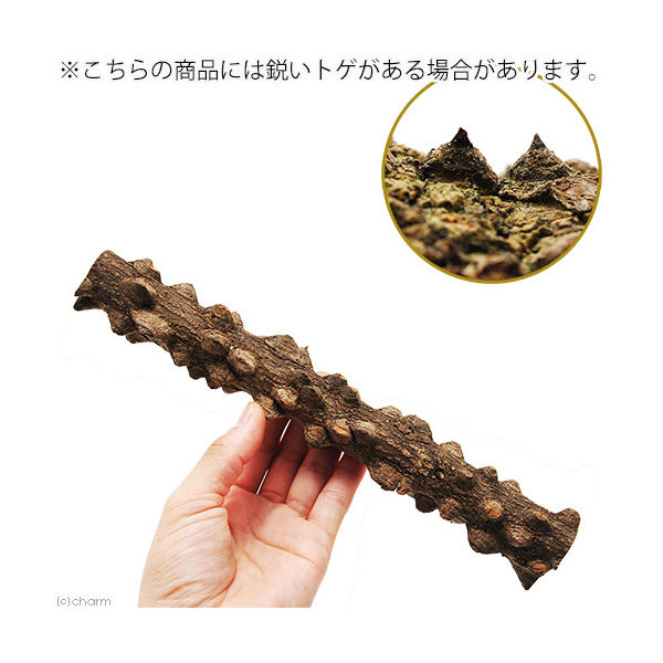 リーフ 形状おまかせ 山椒の木 細枝 ショート 2250002313709 1 リーフ 形状おまかせ 山椒の木 細枝 ショート 2250002313709 1