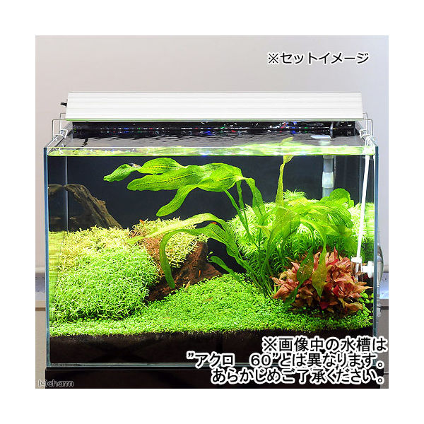 Aqullo オールガラス60cm水槽 アクロ60N TRIANGLE