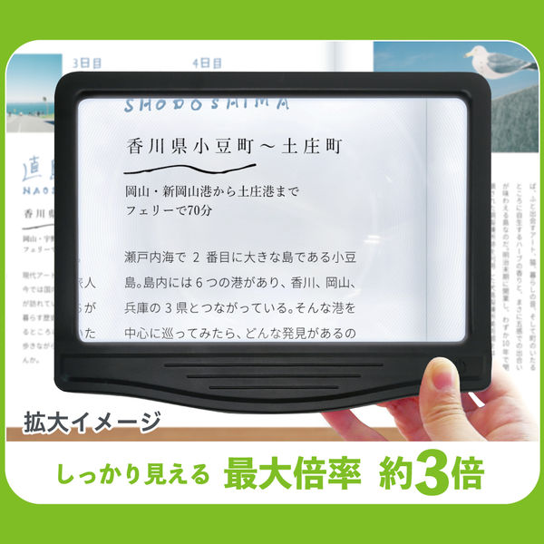 キングジム ライト付き拡大鏡　黒 AM50クロ 1個（取寄品）