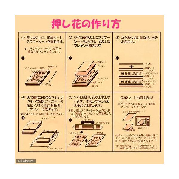 オーアールエス 押し花押し器セットC 4542609000105 1セット（直送品）