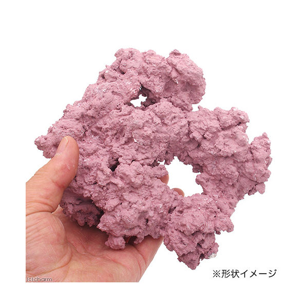 マメデザイン マメライブロック 4571252972651 1個（直送品） - アスクル