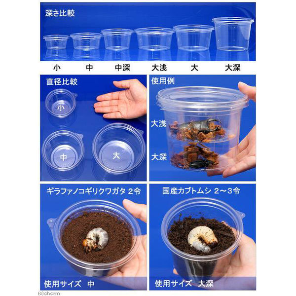 レア! progressive　Kalafina　保存用 リーフ プリンカップ 大 約440ml×100個 カブトムシ