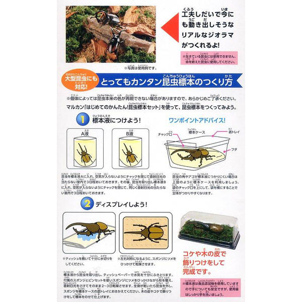 マルカン はじめてのかんたん昆虫標本セット　昆虫標本　昆虫採集　自由研究 4906456527527 １セット（直送品）