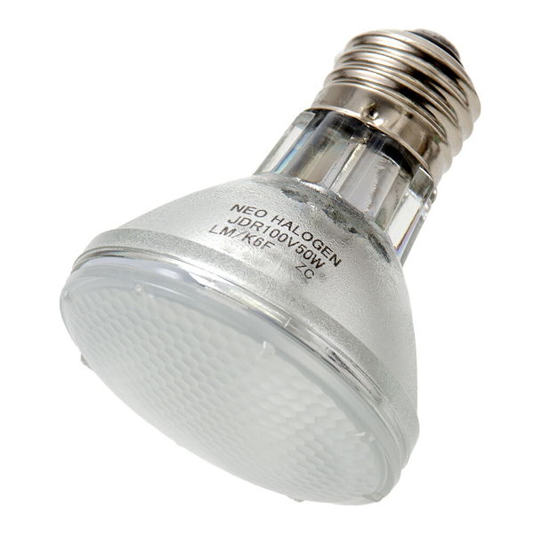 カミハタ ネオハロゲン 50W 爬虫類用保温球 4971664966352 1個（直送品