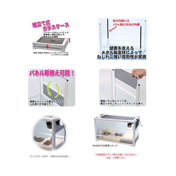 三晃商会レプティワイルドパンテオン・飼育ガラスゲ-ジ 三晃商会 SANKO レプティワイルド パンテオン ホワイト WH4535