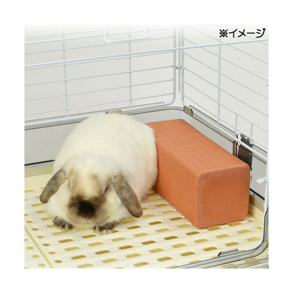 三晃商会 SANKO ひんやりテラコッタ 4976285286001 1個（直送品