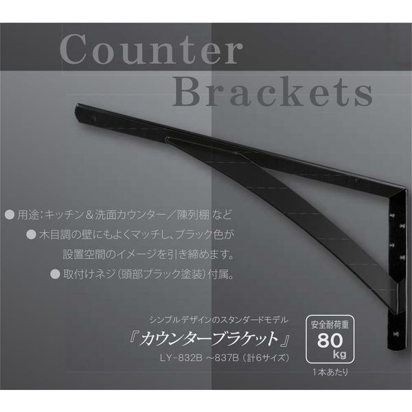 サヌキ カウンターブラケット 黒 [2本入] 4.5t×38×250×500 LY-835B 1
