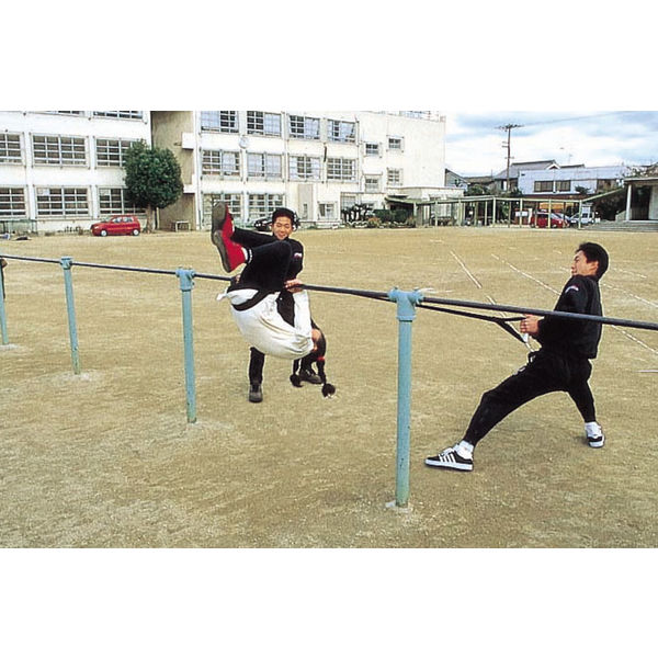 淡野製作所 逆上がりマスター D249 1個（直送品） - アスクル