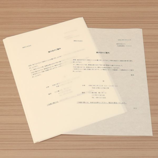 大直 奉書紙 生成 A4 100枚入 207020001 1個（直送品） アスクル