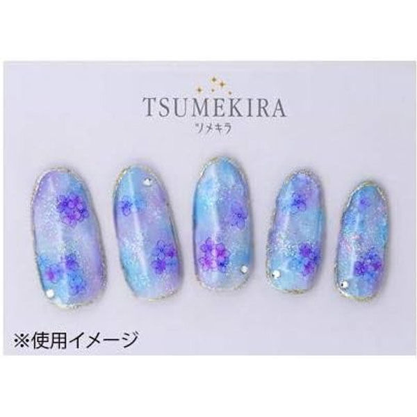 TSUMEKIRA (ツメキラ) ネイルシール 紫陽花 NN-AJI-101