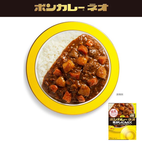 ボンカレーネオ 焦がしにんにく やみつきスパイシー 辛口 1