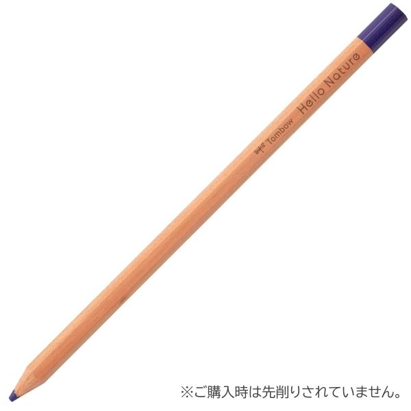 トンボ鉛筆 色鉛筆 ハローネイチャー 単色 紫 CB-KHN18 1セット