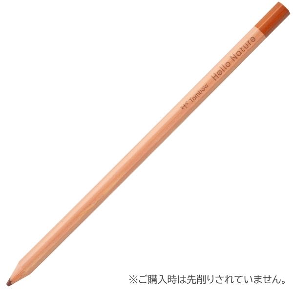 トンボ鉛筆 色鉛筆 ハローネイチャー 単色 茶色 CB-KHN31 1セット（1本×12）