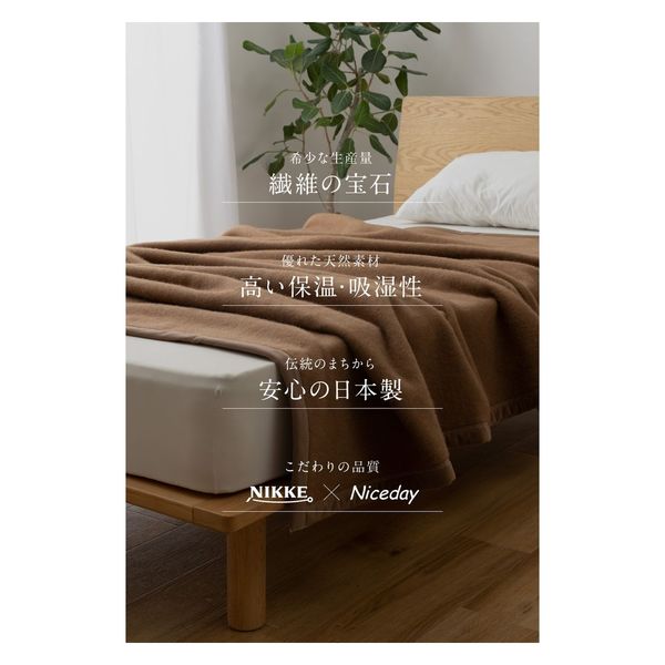 AQUA NIKKE×Niceday キャメル100%(毛羽部分) 毛布 (NT) 1600×2100mm