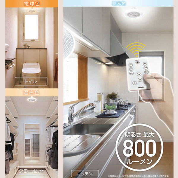 大進 ファン付ライト シーリング DLF-H800 1台（直送品） - アスクル