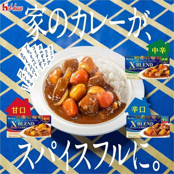 クロスブレンドカレー 辛口 140g 8皿分 1個 ハウス食品 カレールウ